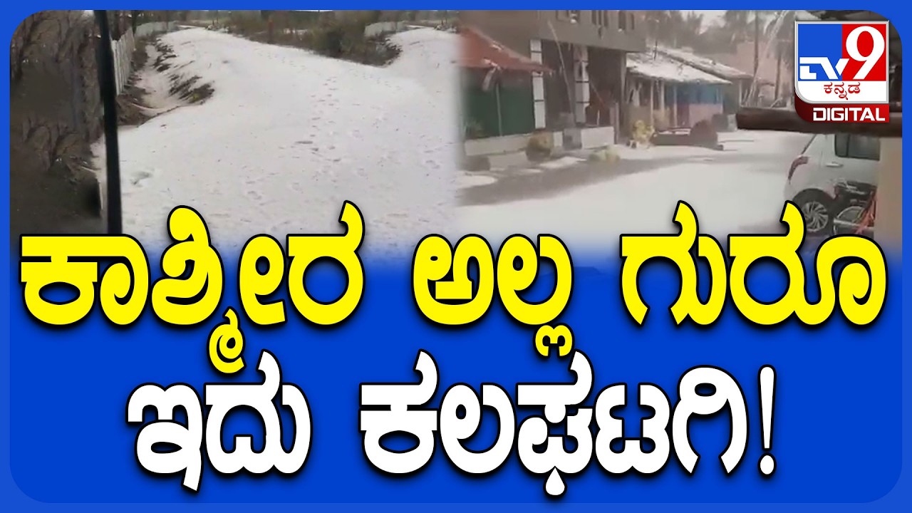 Rain in Kalghatagi: ರಾಶಿ ರಾಶಿ ಆಲಿಕಲ್ಲು.. ಕಾಶ್ಮೀರದಂತೆ ಕಂಗೊಳಿಸುತ್ತಿದೆ ಕಲಘಟಗಿಯ ಮಾಚಾಪುರ | #TV9D