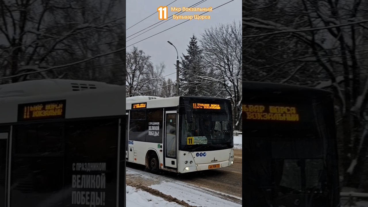 МАЗ-206.086 б/н 604 г/н [АМ 938 32] по маршруту 11 , г.Брянск 🚌