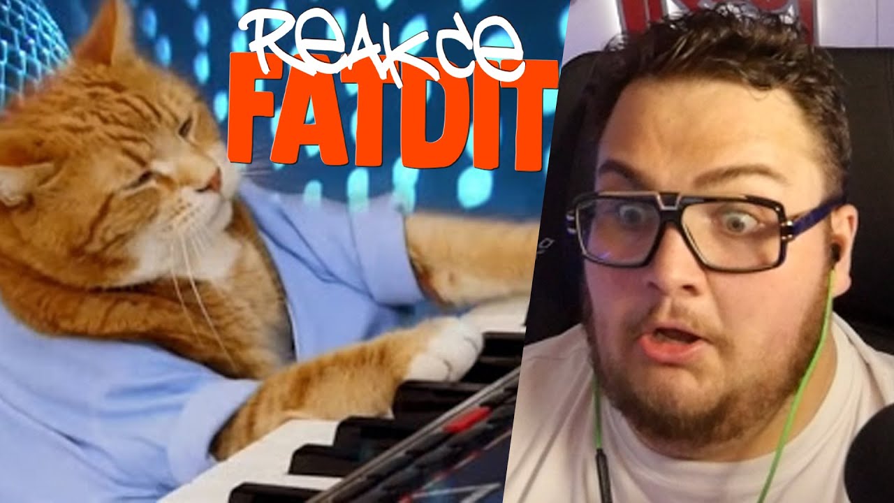TOHLE VIDEO TĚ PŘEKVAPÍ