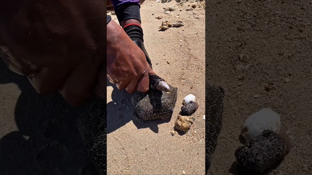 A video stranger than fiction #fishing #amazing #fish