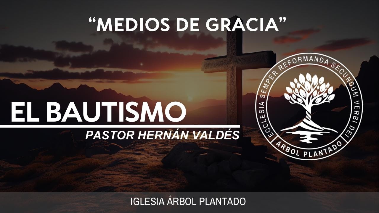 393 - Medios de gracia - El bautismo