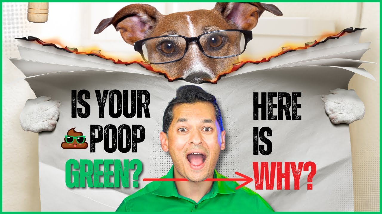 Why Is Your Poop Green? Shocking Causes and When to Worry!