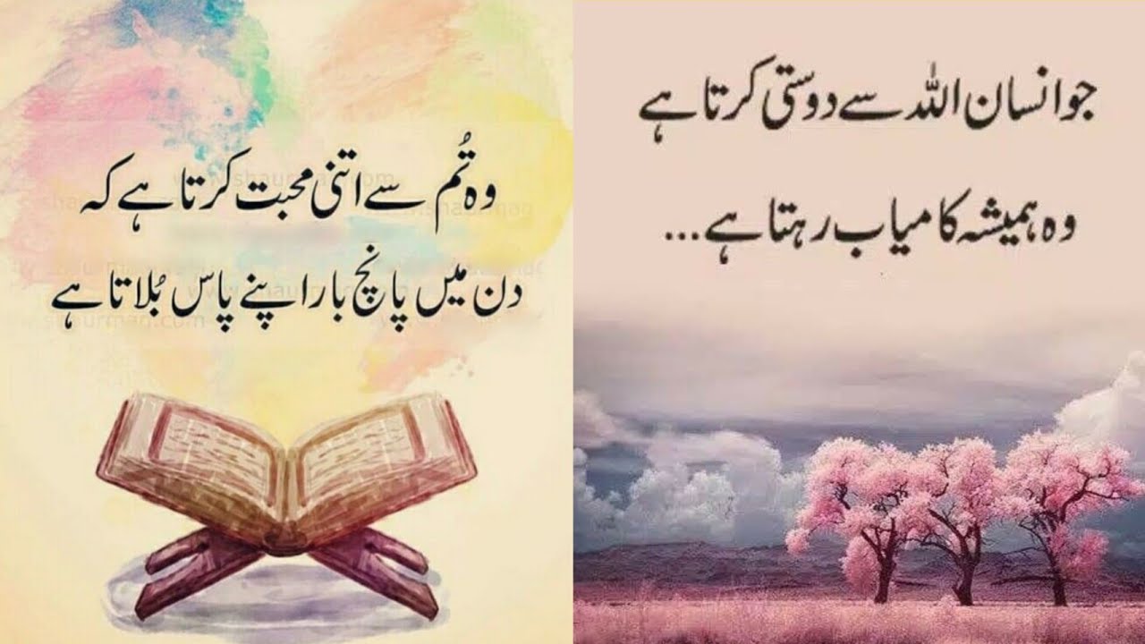 Amazing collection quotes in urdu 