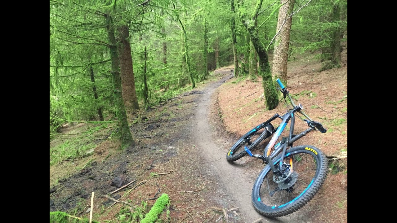 MTB Cwmcarn Cafall Trail