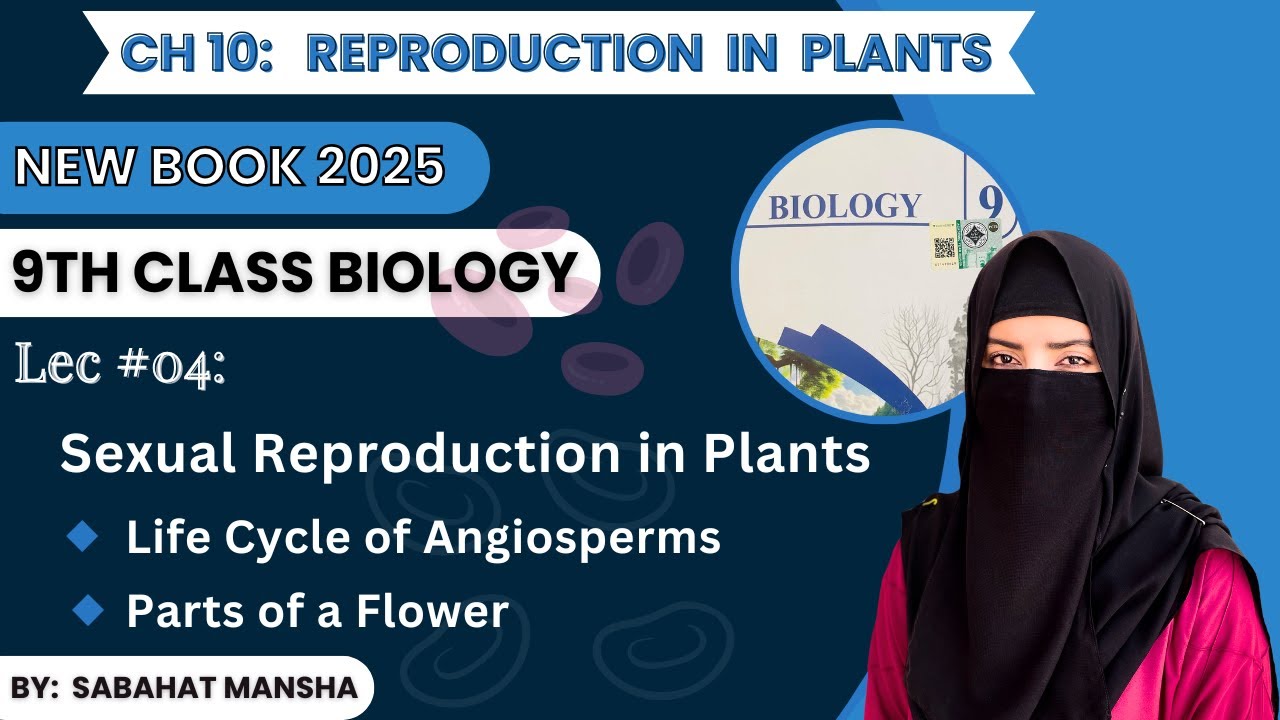 Sexual Reproduction in Plants | Life Cycle of Angiosperms & Parts of a Flower | Class 9 Biology