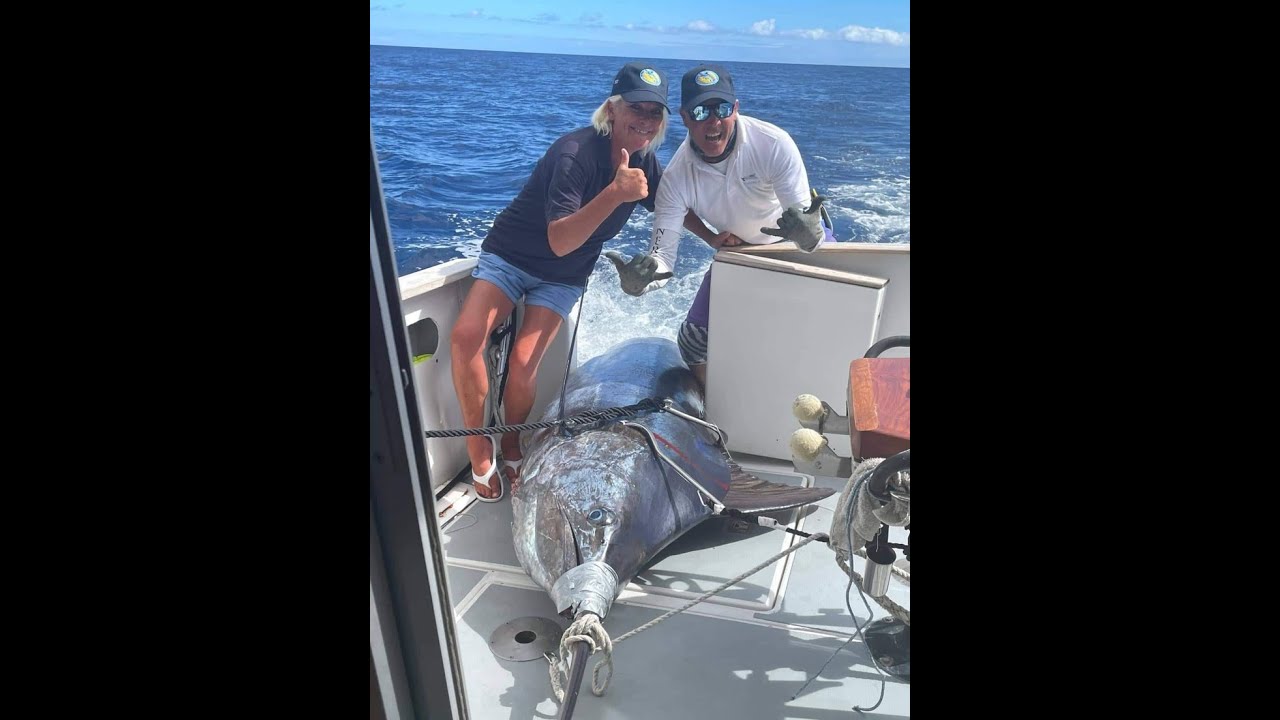 Flipper II Blue Marlin World Cup 2022