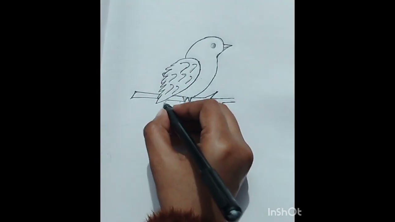Easy Bird Drawing For Kids 😍| Simple Bird Sketch step by step | Easy Drawing For Beginners 