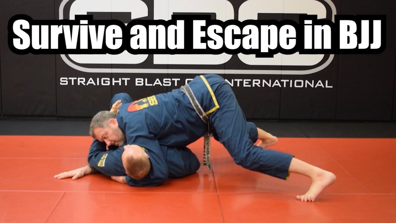 Survive and Escape in BJJ • Matt Thornton's SURVIVE!