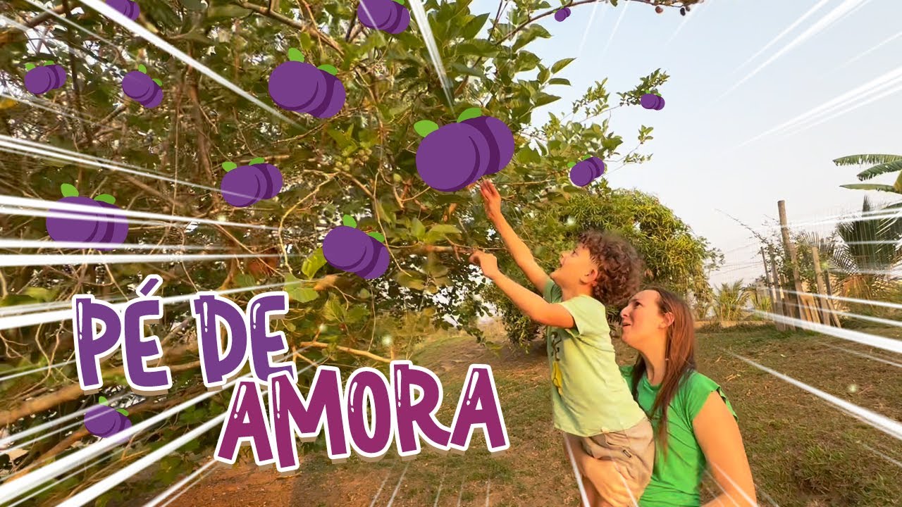 O PÉ DE AMORA NO QUINTAL DA VOVÓ