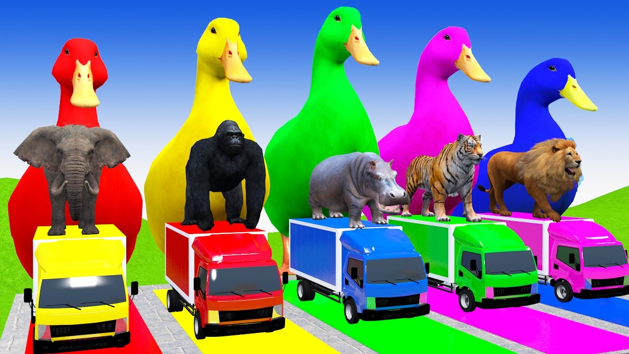 Long Slide With Cow Elephant Gorilla Hippopotamus 3d Animal Game Funny 3d Animals