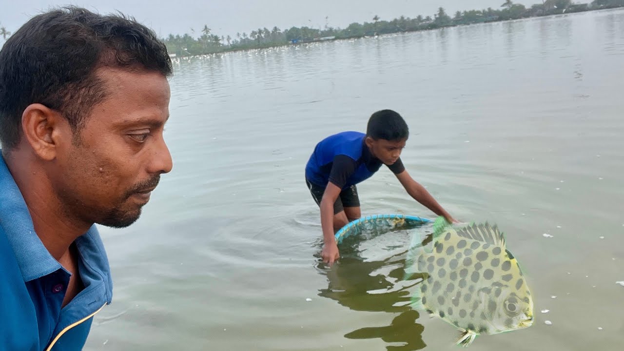 ഇവിടെ വലയെടുത്തു ഒന്ന് കോരിയാൽ കറിവെക്കാനുള്ള മീൻ റെഡി. ..