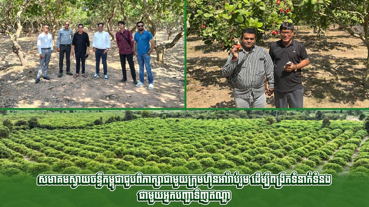 សមាគមស្វាយចន្ទីកម្ពុជាជួបពិភាក្សាជាមួយក្រុមហ៊ុនអារ៉ាប់រួម ដើម្បីពង្រីកទំនាក់ទំនងជាមួយអ្នកបញ្ជាទិញ