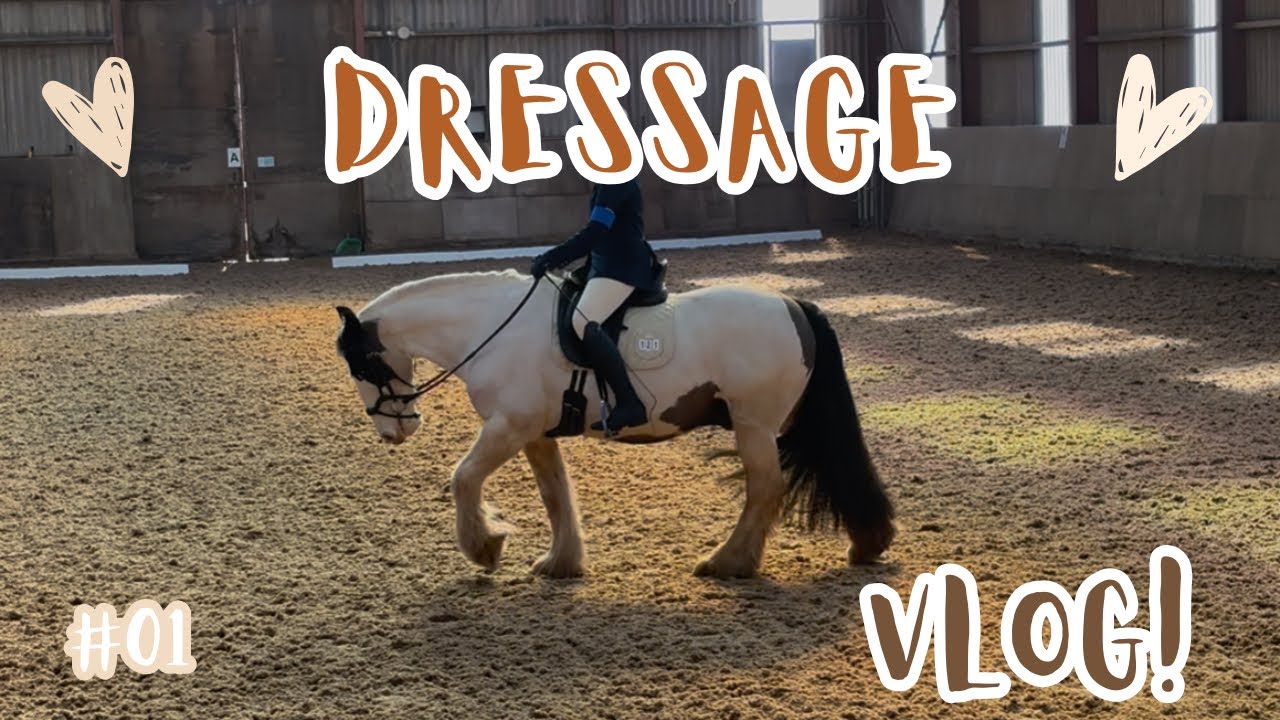 DRESSAGE SHOW DAY VLOG - PRELIM 3 - DIDN’T GO TO PLAN!
