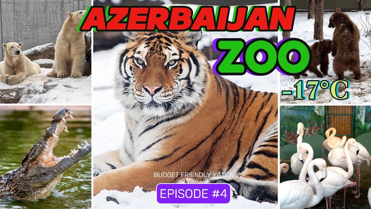 Coldest Zoo Visit Ever? Only 10 Mannat | Budget Friendly Destination | Frozen Animals & Frosty Views