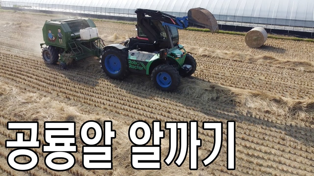 공룡알 알까기 ( 베일러 작업 ) 영상 입니다.