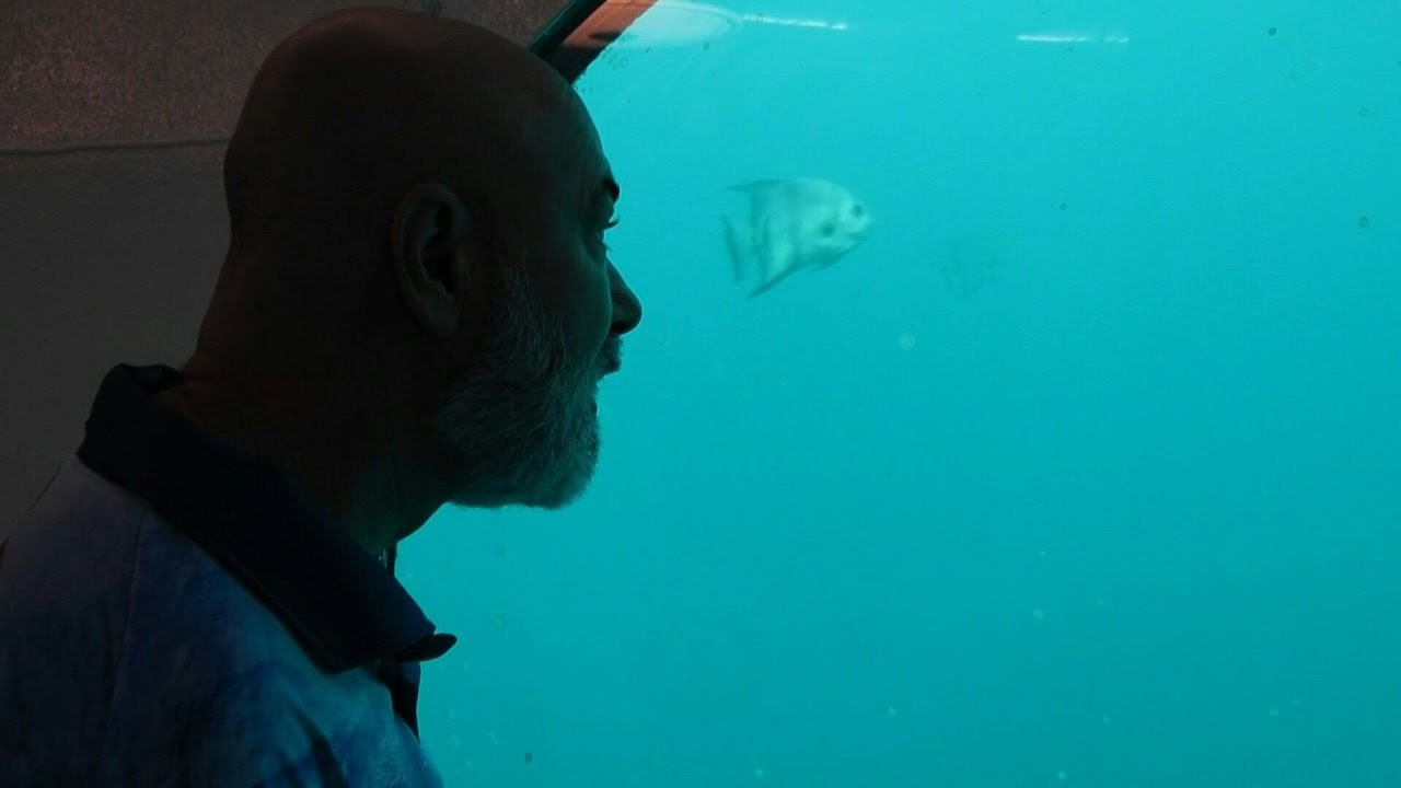 German engineer prepares to emerge after 120 days living underwater | AFP