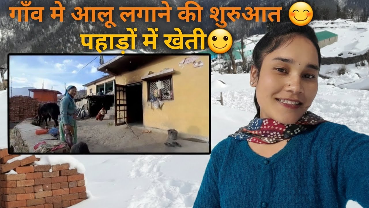 पहाड़ों में आलू की खेती😊#phadilifestyle #madhu  negi vlog #phadivibes #youtube #viralvideo