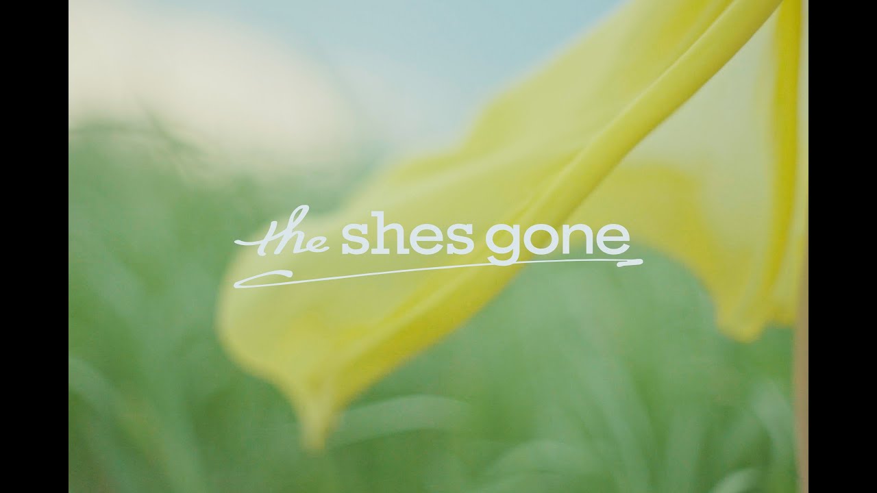 the shes gone「まぼろし」Music Video【テレ東系 ドラマ24「40までにしたい10のこと」EDテーマ曲 主演: 風間俊介 出演: 庄司浩平】