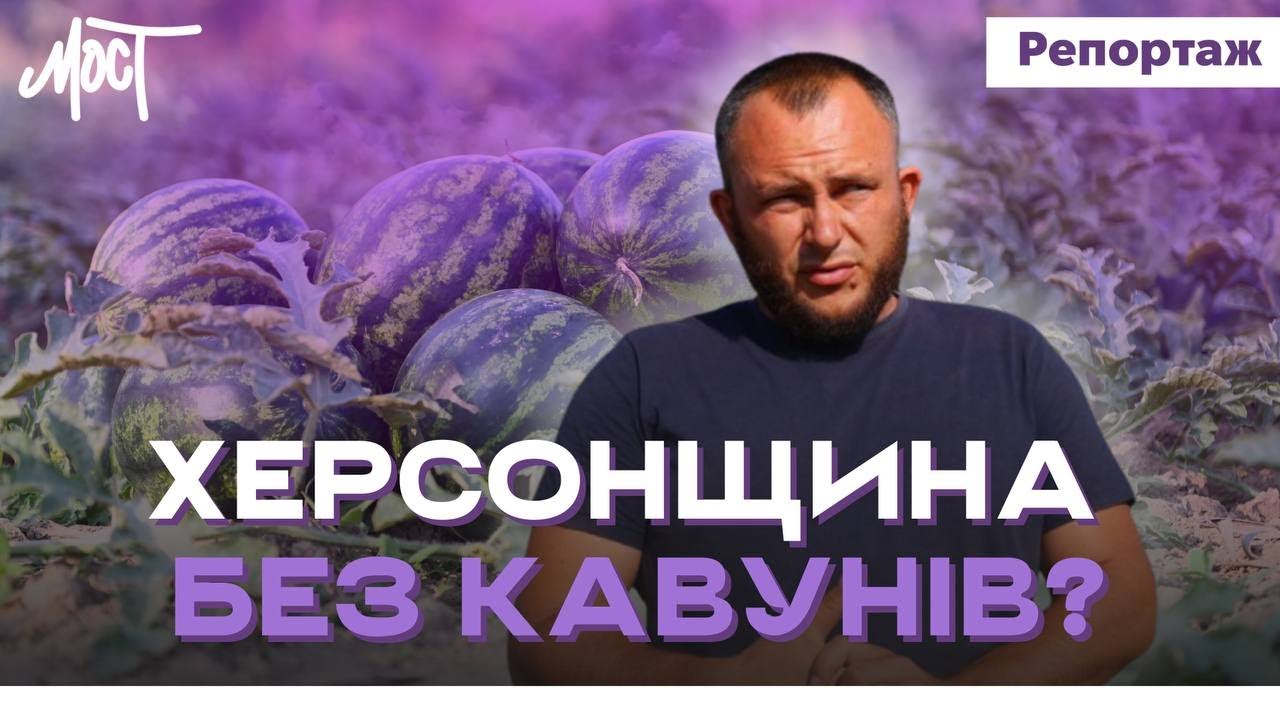 Кавунова столиця Херсонщини без кавунів: виклики ферми в Нововоронцовці