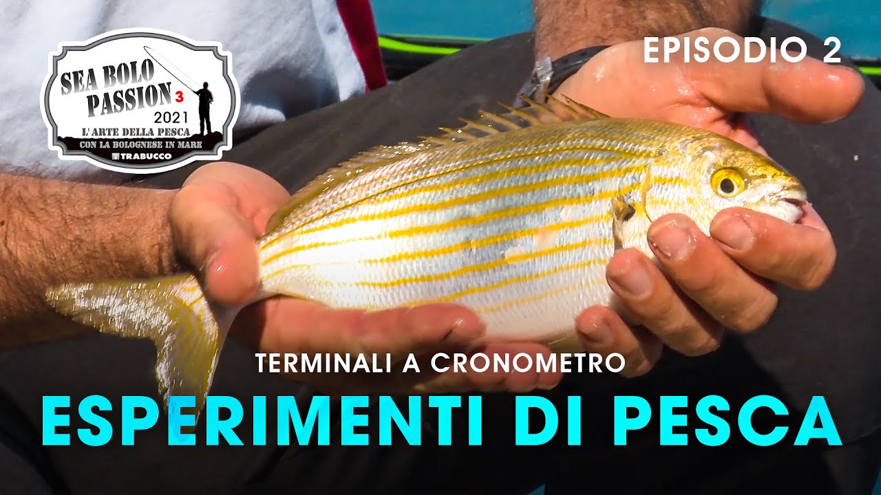 Esperimenti di pesca con la BOLOGNESE in MARE | Sea BOLO Passion S3E2 | @Trabucco Fishing