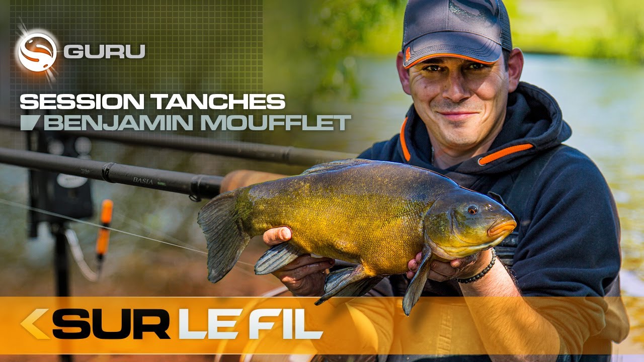 Session Tanches - Sur le Fil
