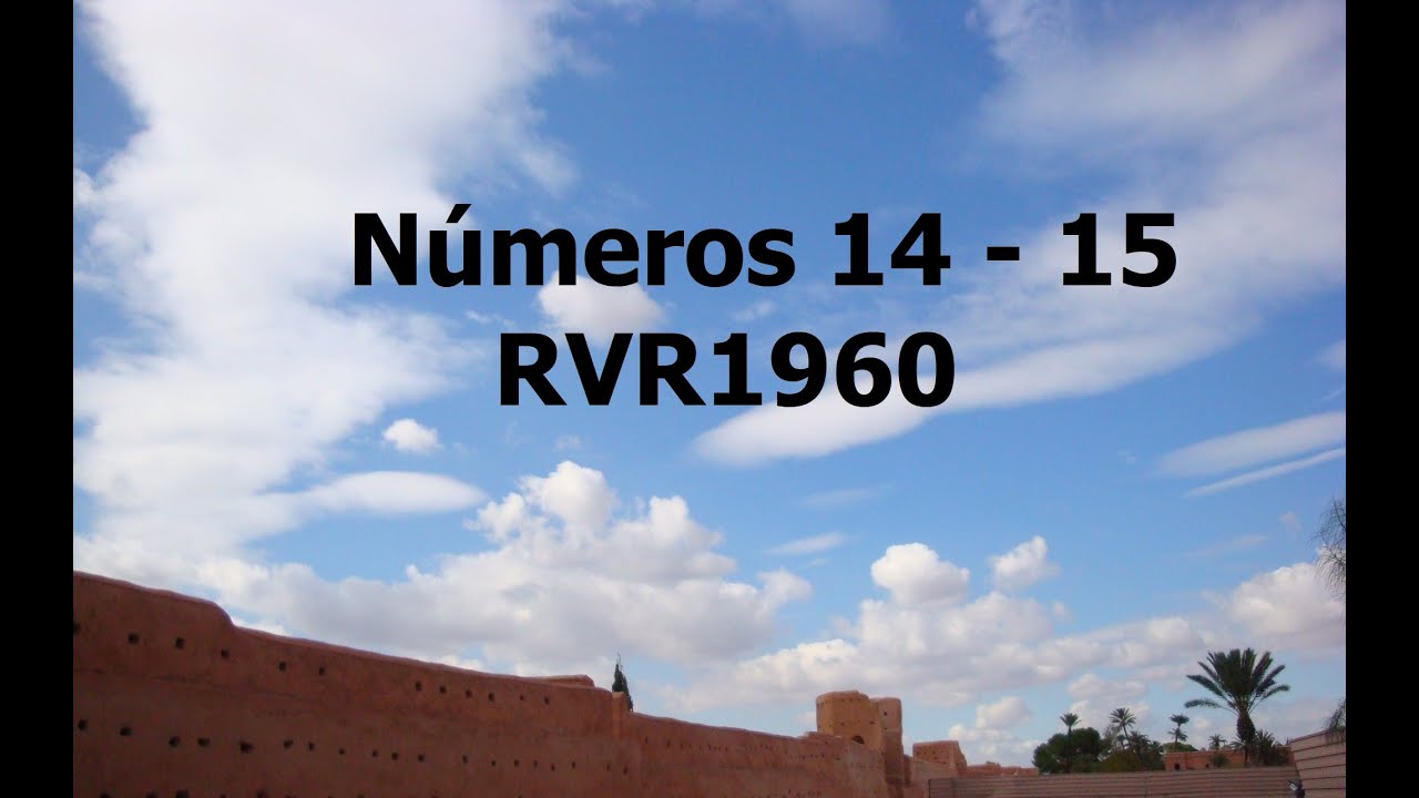 La Biblia hablada/Números 14 - 15