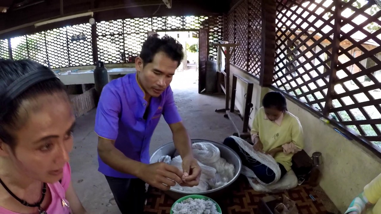 Angkor Silk Farm Tour, Puok District, Siem Reap, Cambodia