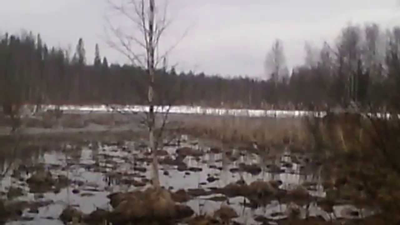 VID 20150418 092611