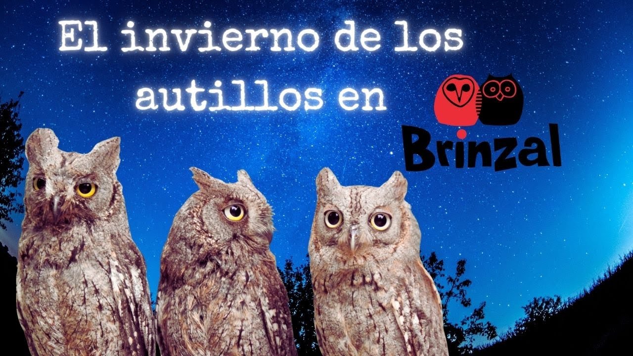 &iquest;D&oacute;nde pasan el invierno los autillos de Brinzal?