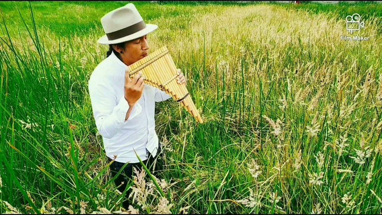 Waqai Mama