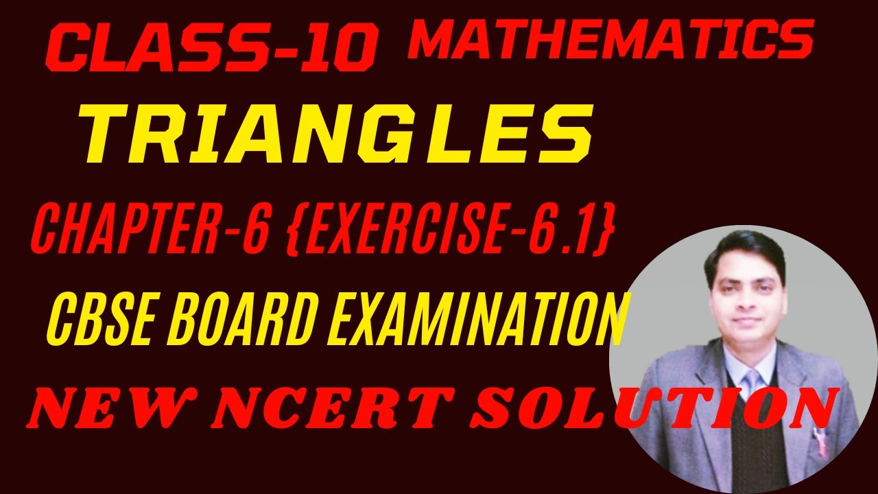 Class 10 Maths | Chapter 6 | Exercise-6.1 | Triangles | NEW NCERT CBSE BOARD EXAM👌👌