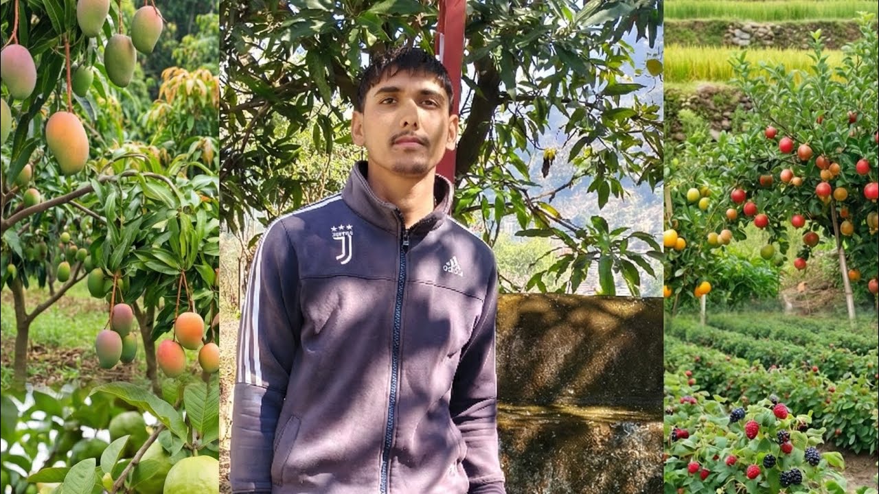 Khet ghar 🏡 & jungle 🏕️ view 🪟