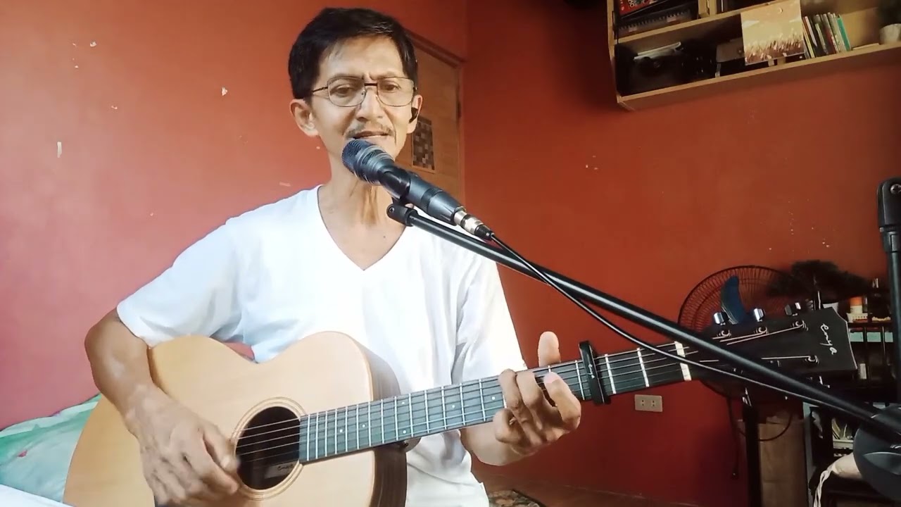Homeward Bound (Simon and Garfunkel) cover
