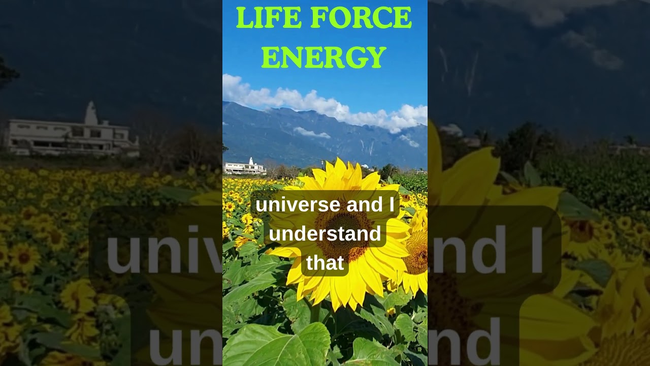 Life Force Energy Affirmation. You are a significant dot in God’s universal plan!
