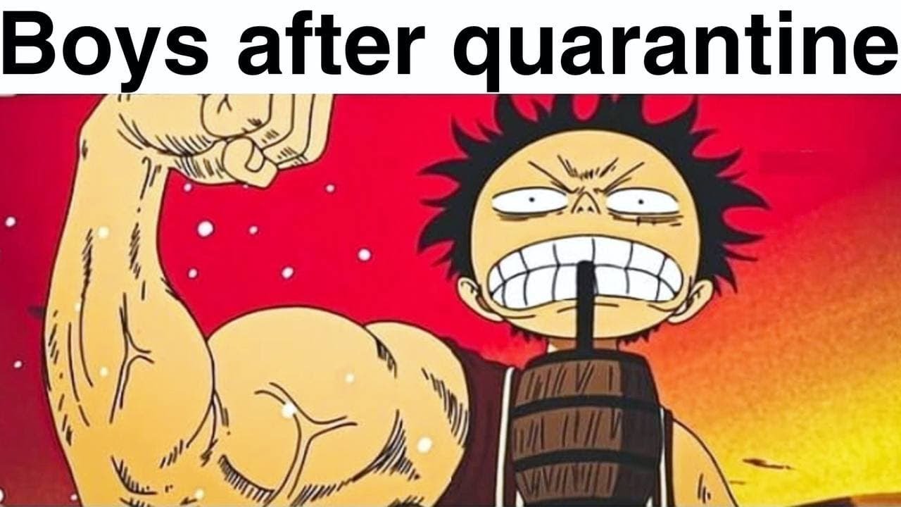 ONE PIECE MEMES 13