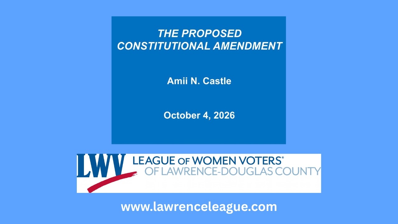 Why We Need To Vote No on the November 3 Constitutional Amendment