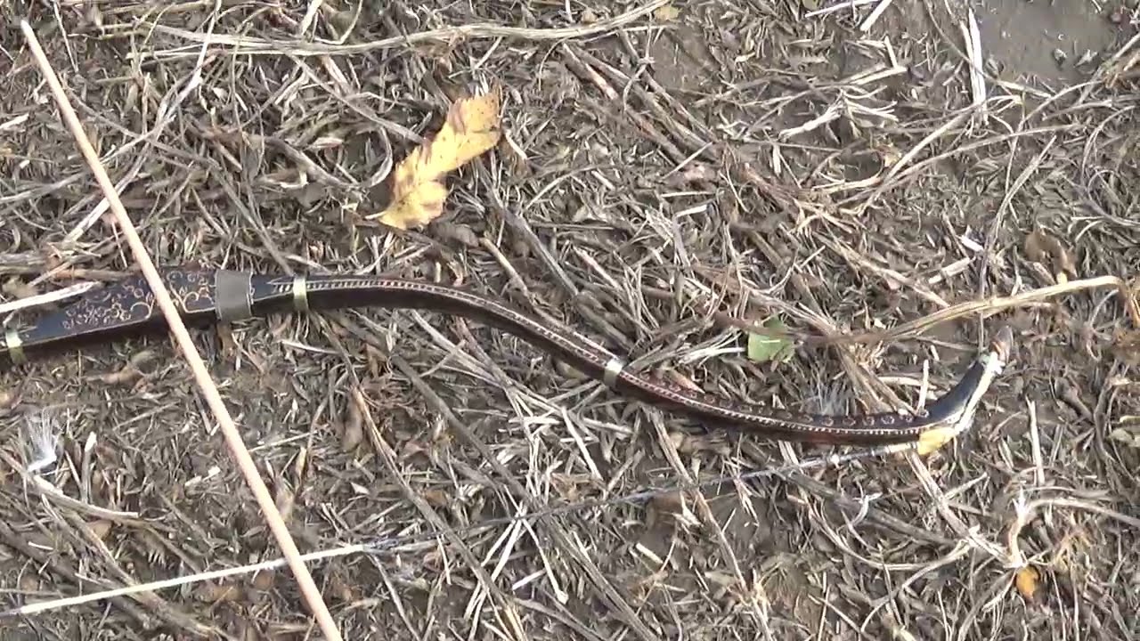Про стрельбу на дальность. (Horn bow 65 lbs)