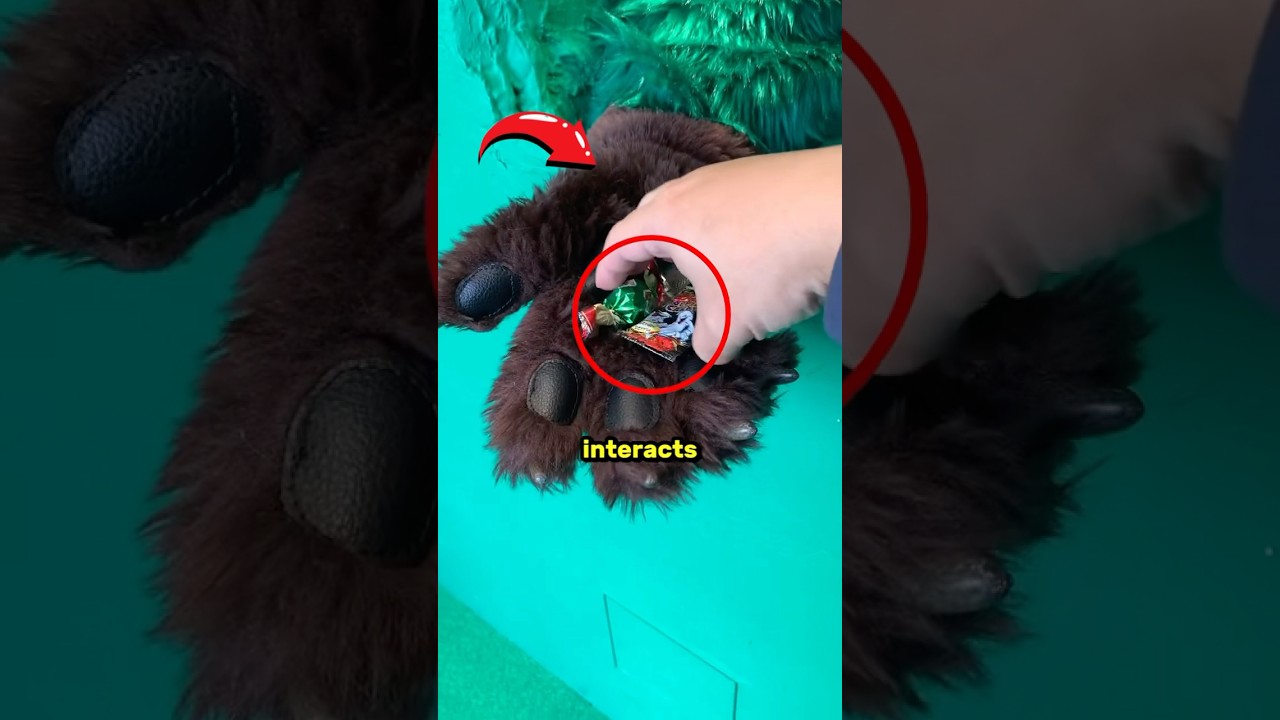 Bear Paws Feed You In Japan 🤯🤯 ( credit: @yuuuuto38  @dianasaridewiii @japanontiktok on TT )