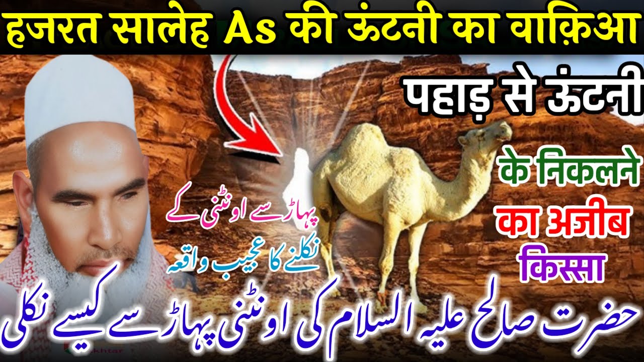 Hazrat Saaleh as ki untni ka waqia / oontni ka waqia / Qari Haneef Multani / Kari Hanif Ki Takrir