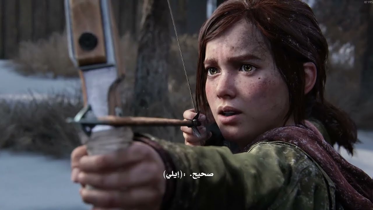 The Last Of Us 1 (P4)