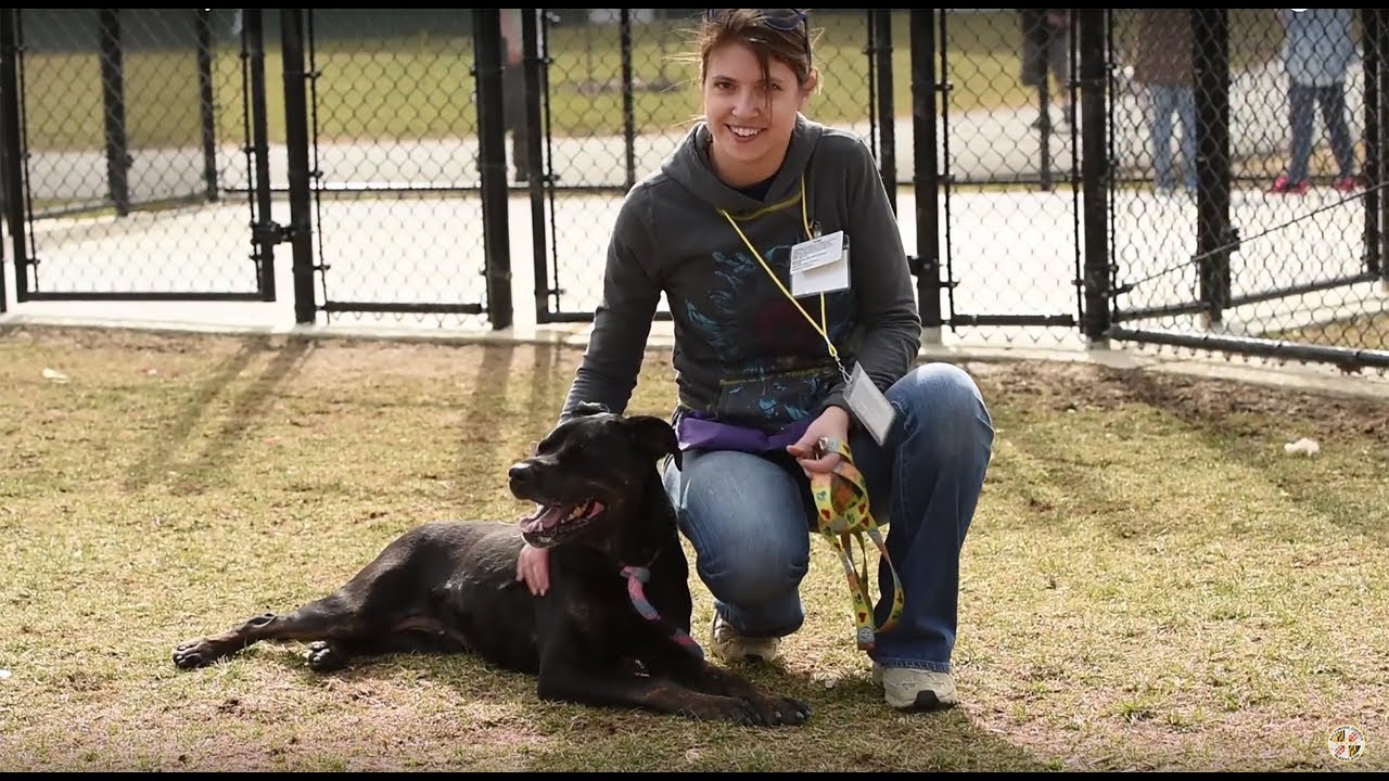 Baltimore County Animal Services Volunteers