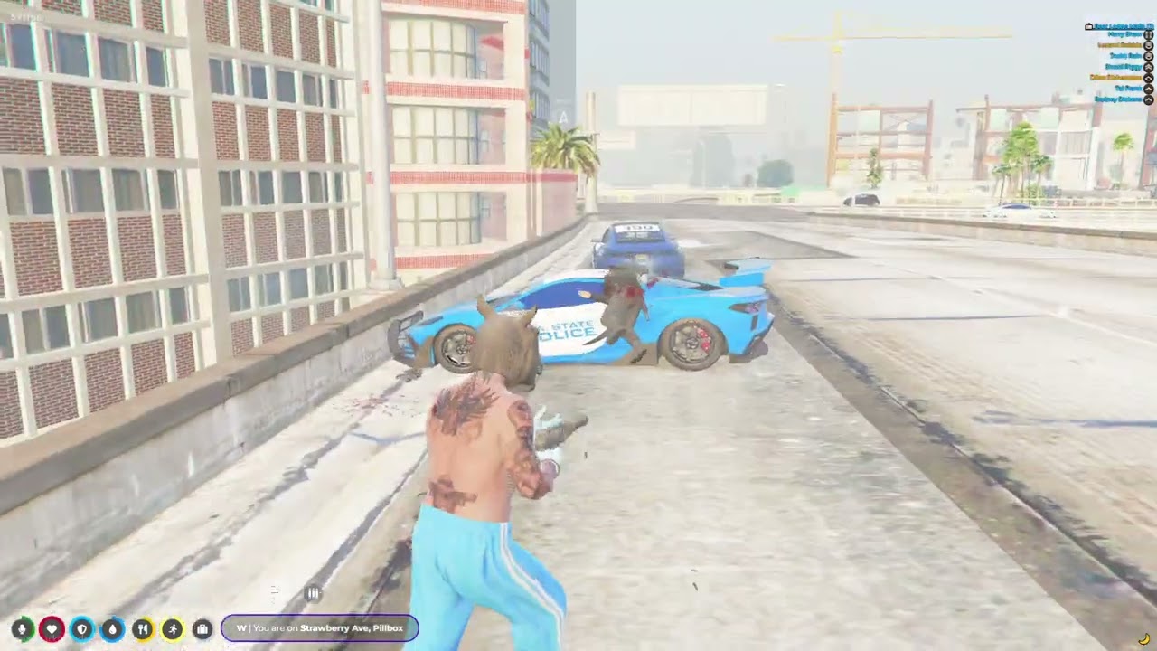 Muka Cubed // STRP Montage