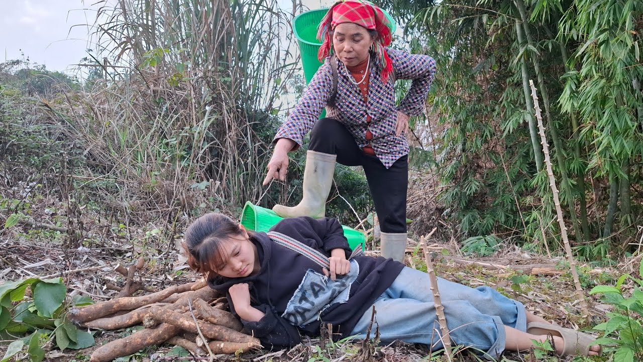 Going to Dig Cassava With Grandma, Mai Slowly Notices Strange Actions and Hidden Secrets