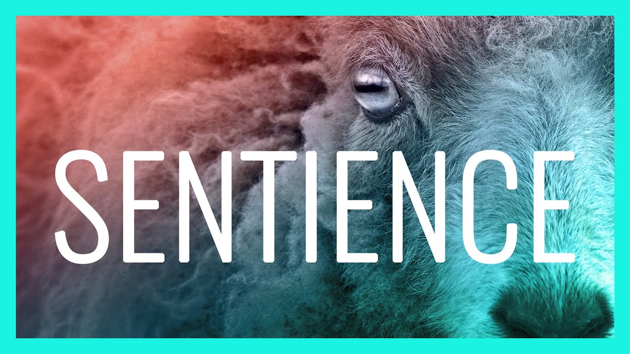 Le mot le plus important du monde