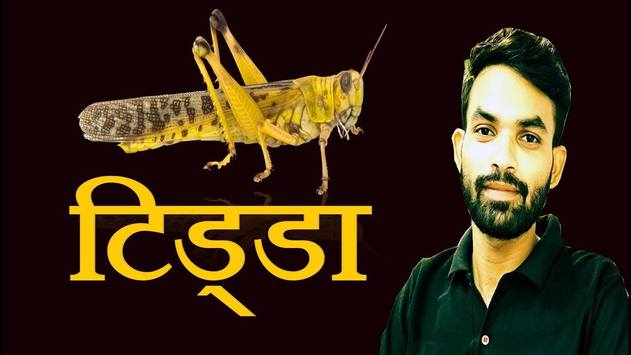 टिड्डा(Grasshopper) // कृषि जीव विज्ञान अध्याय 11 सम्पूर्ण अध्ययन // सबसे आसान क्लास
