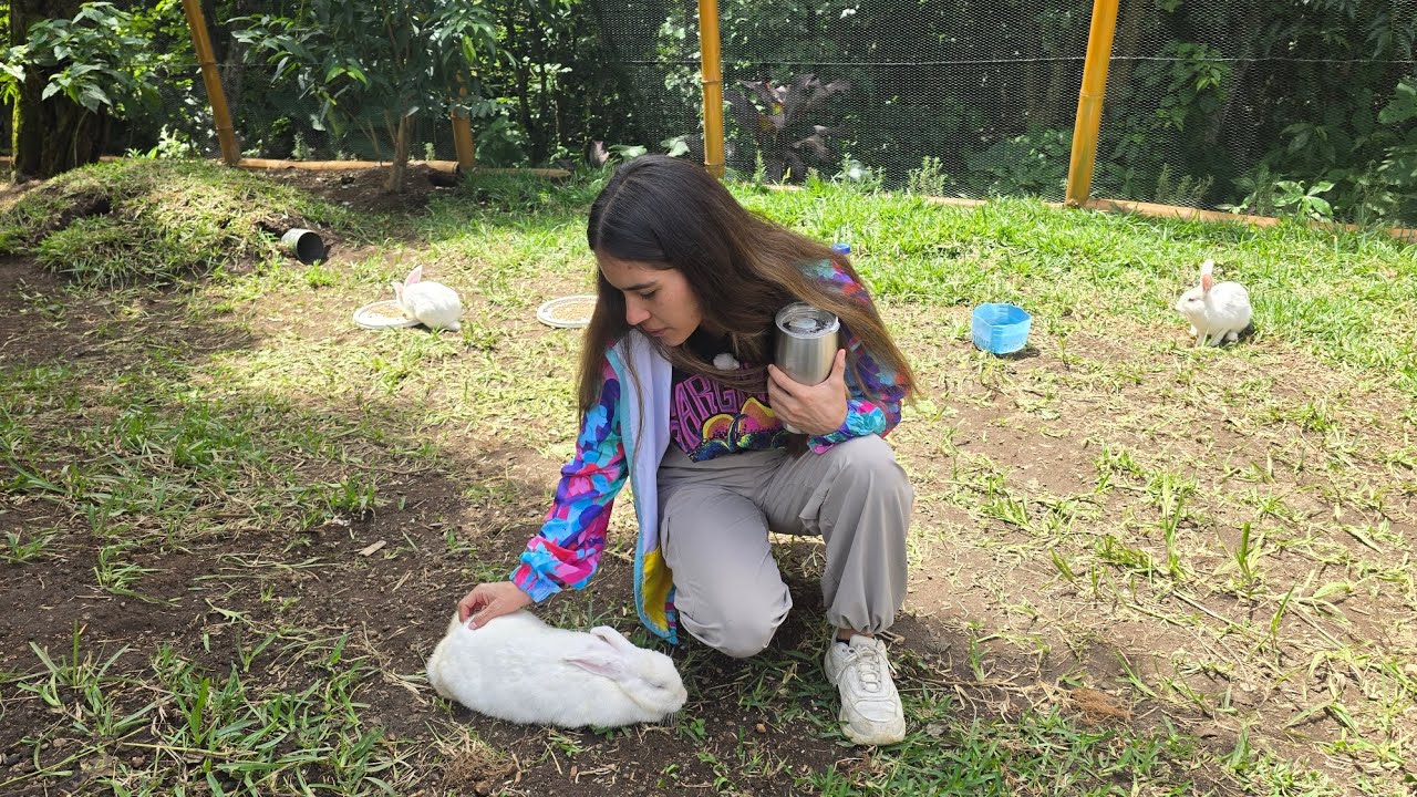 Así es La Mansión de los Conejos 🐰  Finca @MURPHSLIFE