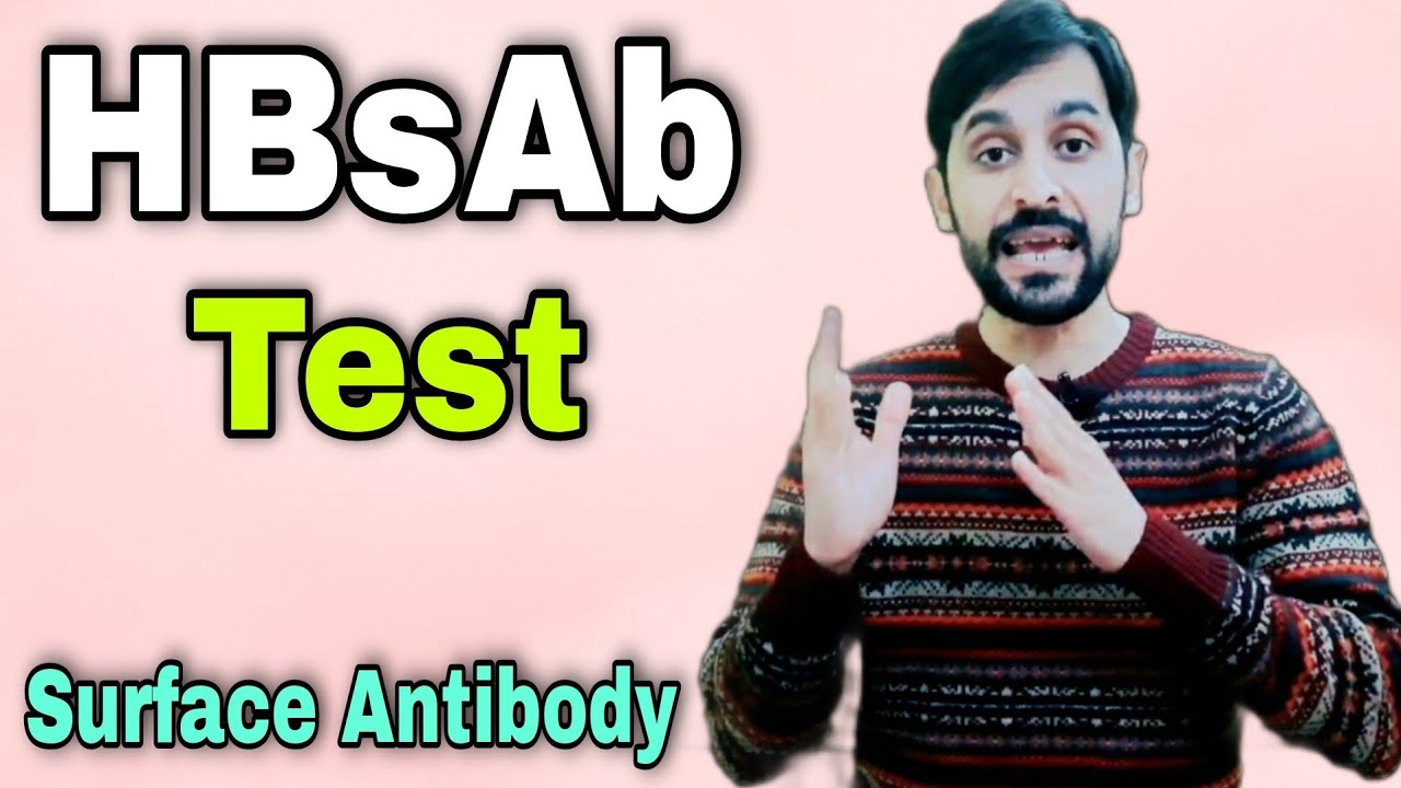 HBsAb Test | What Does HBsAb Positive Mean