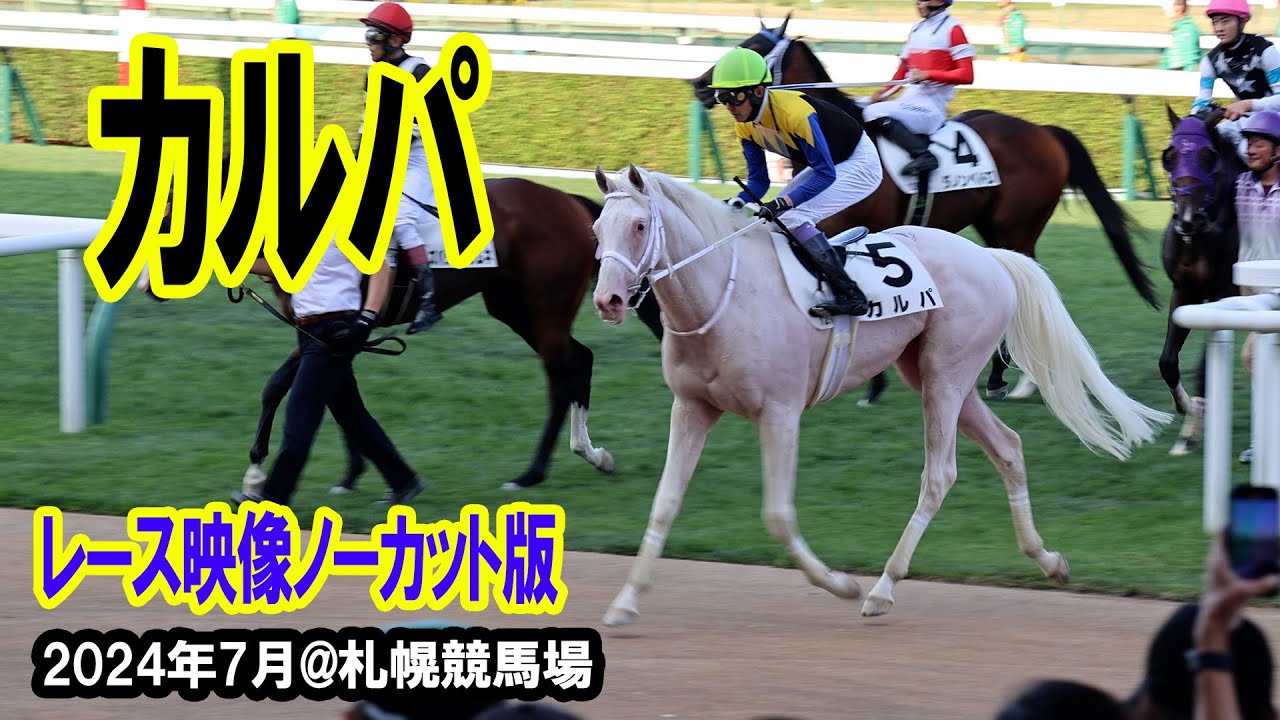 【現地撮影】カルパ　白毛の人気馬　２勝目目指すも惜しくもかなわず　レース映像編