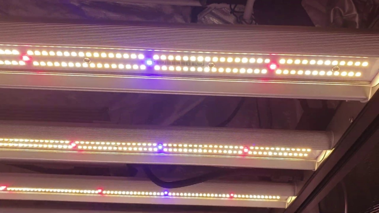 OpticLED Master Controller demo - Running Slim480h & Slim 320h - Best LEDs for Grow Tent