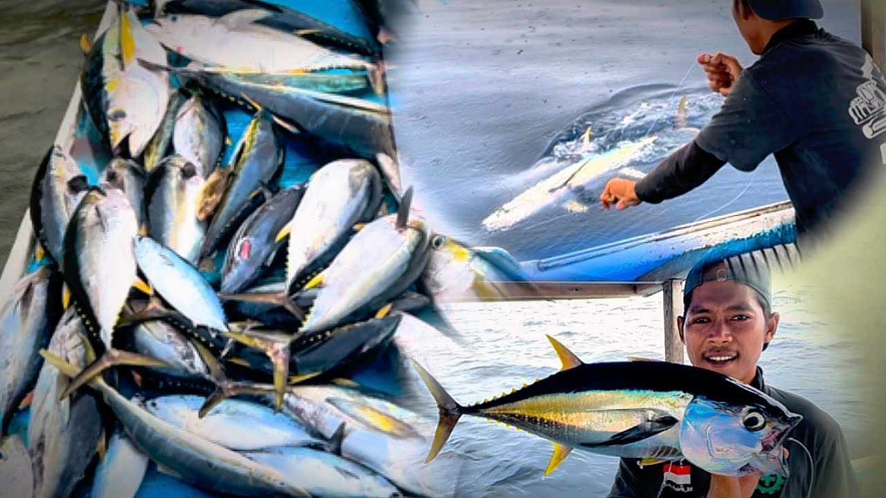 Ini yang di sebut pemancing ikan tiba berangkat😱😱